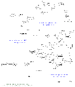 Eurovision Voting Map